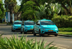 BCA Kucurkan Pembiayaan 600 Miliar ke Green SM 