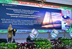  BPK Kawal Program Ketahanan Energi dari Hulu ke Hilir, Lakukan Pemeriksaan Tematik Nasional