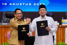 Integrasi NIB dan NOP, Pemerintah Dorong Sinkronisasi Data Pertanahan dan Pajak Daerah