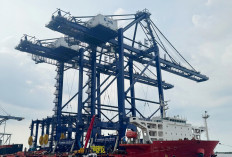 Pelindo Datangkan Alat Bongkar Muat Baru,  Tingkatkan Layanan Terminal Peti Kemas