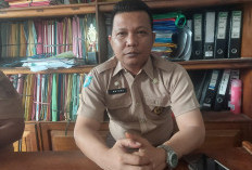   Revitalisasi 40 SD di Seluma Diusulkan,  DAU Untuk 5 Sekolah