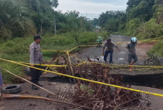  Pemkab Seluma Siapkan Rp 250 Juta, Tangani Jalan Putus Akses ke Pasar Sembayat
