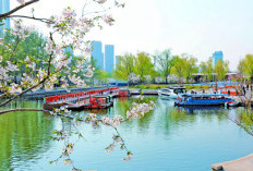  From Old Channel to New Garden: How Chaoyang’s 