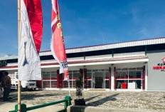 Program Koperasi Desa Merah Putih Jadi Prioritas Presiden, Rekrut 35 Ribu Manajer Profesional