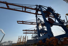 Pacu Arus Peti Kemas, Pelindo Optimis Ekspor Indonesia Menguat di 2026