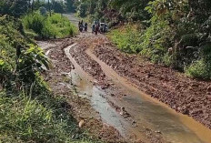   Akses Jalan ke Desa Napal Jungur Tertutup Longsor Akibat Hujan Deras