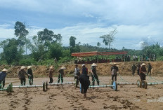  Kodim 0425/Seluma Tanam Padi Perdana di Sawah yang Dicetak Baru di Desa Air Keruh