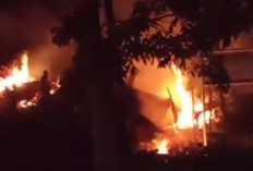   Lahan di Kawasan Perkantoran Pemkab Seluma Terbakar, Damkar Lakukan Pendinginan