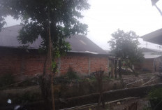 Warga Provinsi Bengkulu Diminta Waspada, Hujan Badai Melanda Sejak Selasa Sore