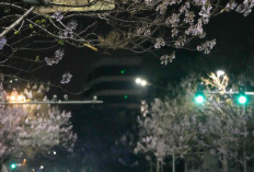   Full-Process, All-Element Test Run Conducted for 2026 Beijing E-Town Humanoid Robot Half-Marathon