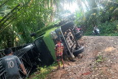 Truk Bawa Material KDMP Terguling di Desa Pandan Seluma