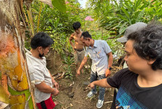 Terlibat Curat, Sopir Travel yang Buron Sejak 2023 Dibekuk, 7 Handphone Dikubur di Kebun Sawit