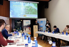   Hainan Tourism Promotion Seminar Lands in Madrid, Paving the Way for Deeper Cultural and Tourism Ties Betwee