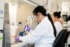 Zymeworks Receives U.S. FDA Fast Track Designation for ZW191, an FRα-Targeting Antibody-Drug Conjugate