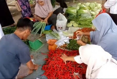 Jelang Akhir Tahun Harga Cabai Merah di Seluma Meroket Tembus Rp 100 Ribu per Kg 