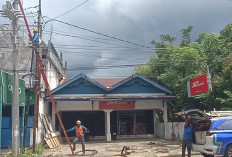 PLN Tais Sibuk Pemeliharaan Jaringan, Agar MTQ Provinsi di Seluma Sukses