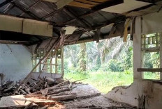   Kondisi SDN 178 Seluma Sangat Memprihatinkan, Luput Revitalisasi, Siswa Belajar di Ruang Darurat
