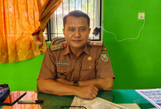 Kementan Salurkan 9 Unit Traktor Roda Rantai ke Seluma