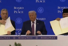 Prabowo Bawa Indonesia  Gabung Dewan Perdamaian Bentuksn AS, Pakar Ingatkan Hati-hati