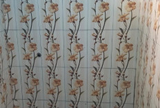 Pergantian Keramik di Proyek Toilet Sekolah Dicurigai LSM Pelangi   '