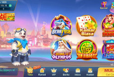 Daftar Game di Higgs Games Island Lengkap, Ini Jenis Permainan yang Paling Populer