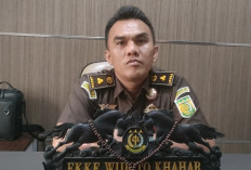 Kasus Pungli PPG Kemenag Seluma Segera Sidnang, 2 Tersangka Dilimpahkan ke Pegadilan