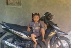 Ibu Rumah tangga Ini Pusing, Motornya Hilang Dicuri, Tagihan FIF Masih Jalan