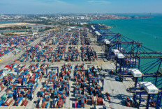 Hainan FTP's First Month of Island-Wide Special Customs Operations Boosts Economic Vitality