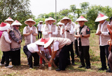 Mengenal Asas Kontradiktur Delimitasi, Fondasi Kepastian Hukum Batas Tanah dan Pencegahan Sengketa