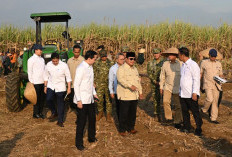 Presiden Prabowo Panen Raya di Malang, Ketahanan Pangan Butuh Kepastian Hukum Tanah