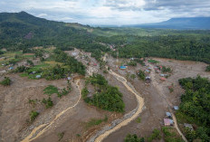 Sampai Sore Ini, Update Korban Bencana Sumatera, 883 Orang Tewas dan 520 Hilang