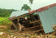   Dampak Irigasi Rusak Parah, 36 Hektare Sawah di Seluma Timur Terlantar, Terancam Alih Fungsi