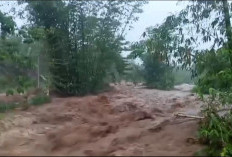 Banjir Bengkulu Bukan Bencana Alam, Walhi Sebut Kejahatan Ekologis