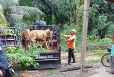 BPD Mekar Sari Laporkan Kades ke Kejari Seluma Terkait Dana Desa 2025