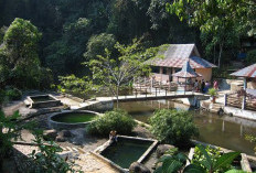 Destinasi Wisata di Rejang Lebong, Surga Alam Sejuk di Bengkulu yang Wajib Dikunjungi