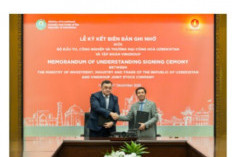 Vingroup Menandatangani Kerja Sama Strategis dengan Pemerintah Uzbekistan, Membuka Peluang Investasi Skala Bes