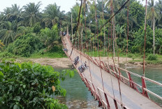   Jembatan Gantung Bandung Agung–Gelombang Seluma Nyaris Putus, Empat Petani Luka-luka! Padahal Baru Direhap