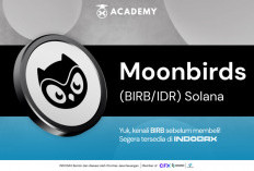  Moonbirds (BIRB), Kripto Baru  di INDODAX!