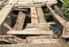 Jembatan Muara Nibung Seluma Rusak Parah, Akses Tiga Desa di Ulu Talo Terputus
