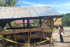 Dua Pondok Tempat Sopir Antri Sawit Terbakar, Ada Unsur Kesengajaan? Polisi Lidik