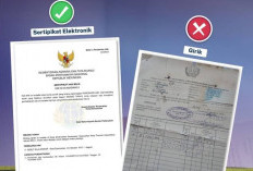 Alas Hak Tanah yang Tidak Diakui Pemerintah: Jenis, Risiko, dan Solusinya