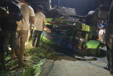   Truk Kontainer Terguling di Turunan Bawah Fly Over Tais Seluma, Sopir dan Kernet Tewas Terjepit