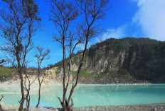 6 Wisata di Bandung untuk Liburan Tahun Baru 2026, Wajib Masuk Daftar!