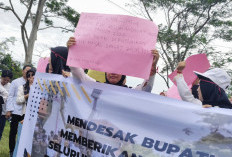   Mengabdi Jadi Honorer Sejak 2008, Jaga Malam dan CS, Namun Tersingkir Akibat Outsourcing