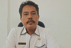    DPMPTSP Seluma Sebut Ada 2 perusahaan Incar Pabrik CPO PT. AIP