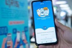   QRIS Sedang Diusahakan Bisa Dipakai di Negara-negara Anggota APEC