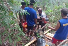  Ditimpa Kayu Ojekan, Pengojek Kayu di Seluma Meninggal Dunia di Jalan Kebun