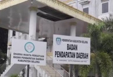 Bapenda Seluma Optimistis PAD 2025 Lampaui Target, Realisasi Capai 99 Persen