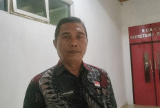 Hasil Pemeriksaan, 11 Orang Kuasai Lahan Eks Transmigrasi di Lubuk Lagan