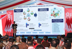 10 Kantor Pertanahan Mulai Terapkan Organisasi Berbasis Wilayah, Pelayanan Diharapkan Lebih Cepat